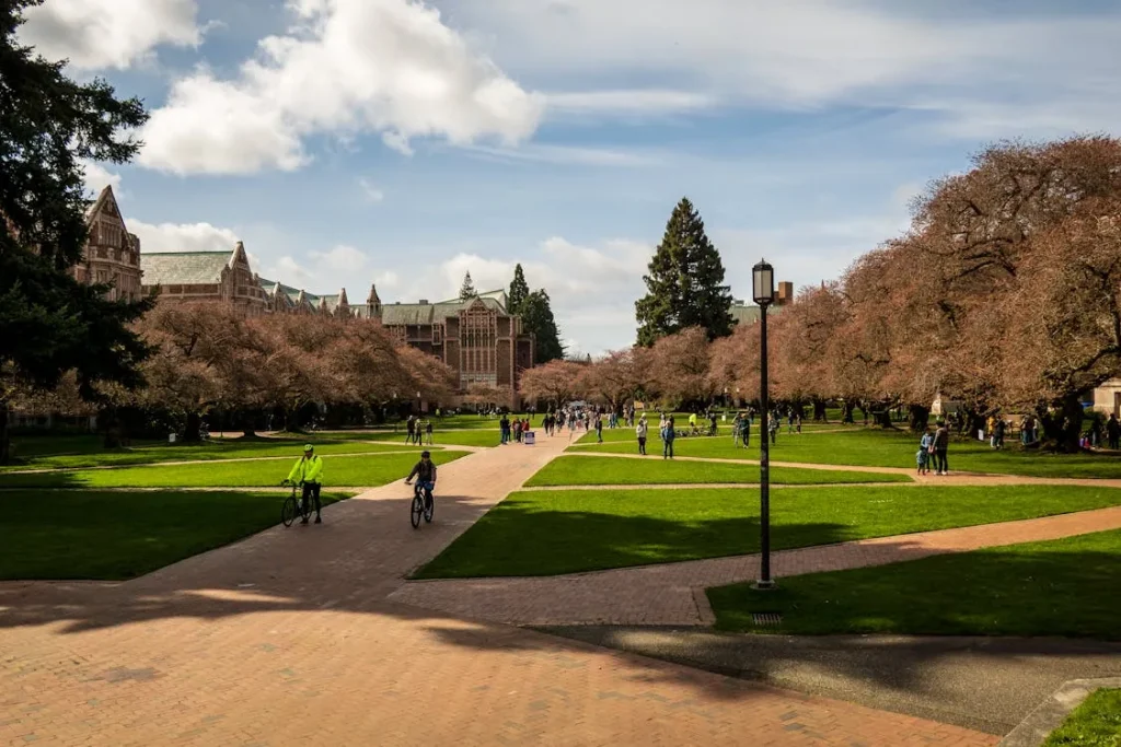 University of Washington campus with Gothic buildings, students, and cherry blossom trees for security and intelligence degree programs